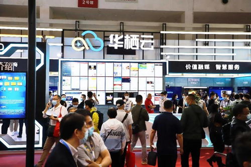 华栖云闪耀亮相ccbn2021